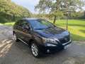 Lexus RX 350 Ambience Line - thumbnail 18