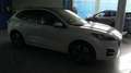 Ford Kuga 2.5 PHEV ST-LINE X AUTO 225 5P Blanco - thumbnail 6