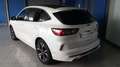 Ford Kuga 2.5 PHEV ST-LINE X AUTO 225 5P Blanco - thumbnail 4