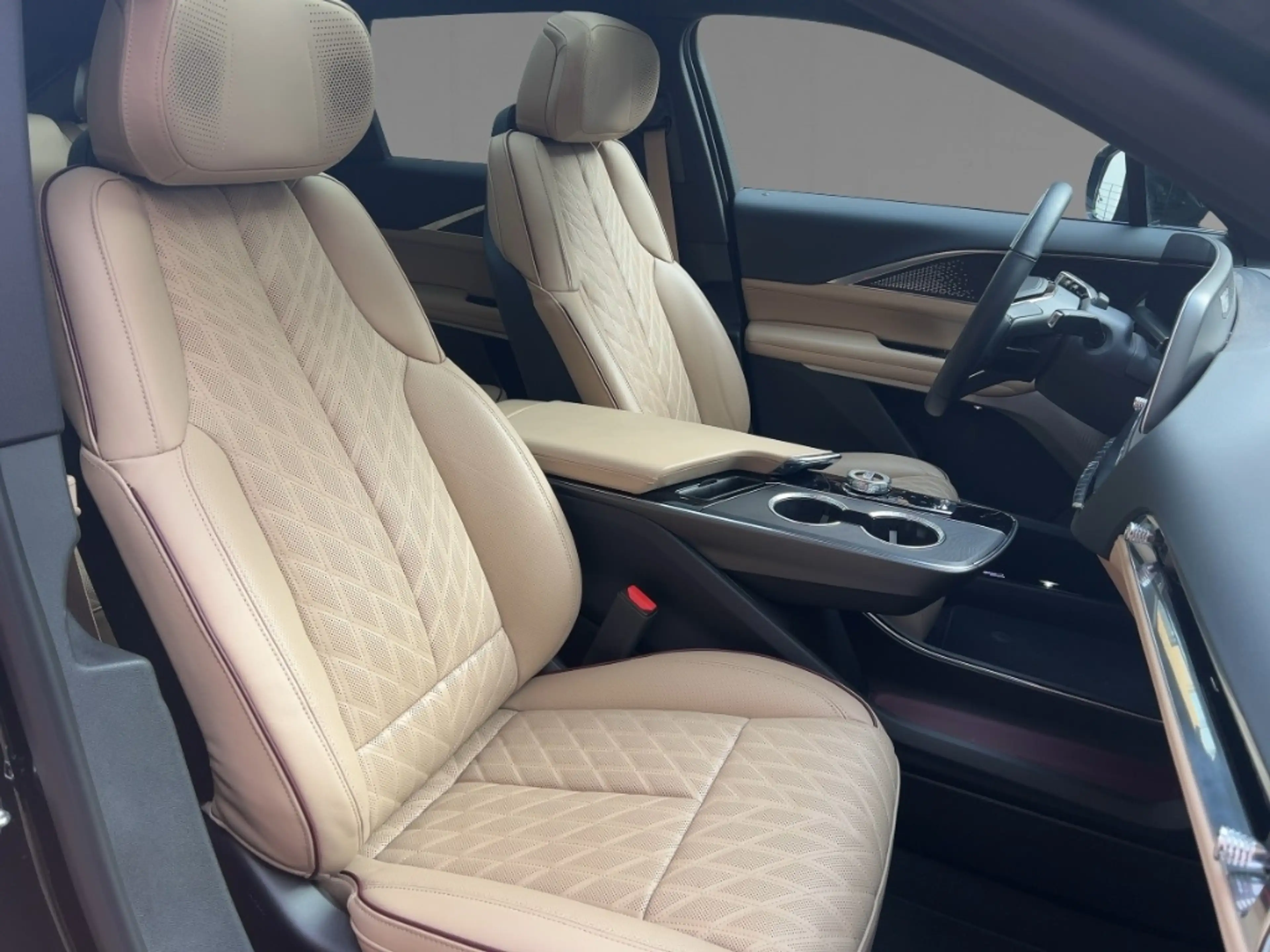 Cadillac Lyriq Sport EV Vollausstattung Panorama, AWD — photo 10