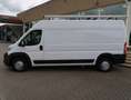 Fiat Ducato 35 2.3 149 PK MULTIJET L3H2 + CAMERA / IMPERIAAL / Wit - thumbnail 26