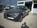 Alfa Romeo Stelvio 2.2 Turbo Business Šedá - thumbnail 1