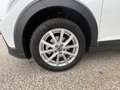 Volkswagen Taigo 4Me TSI Weiß - thumbnail 4
