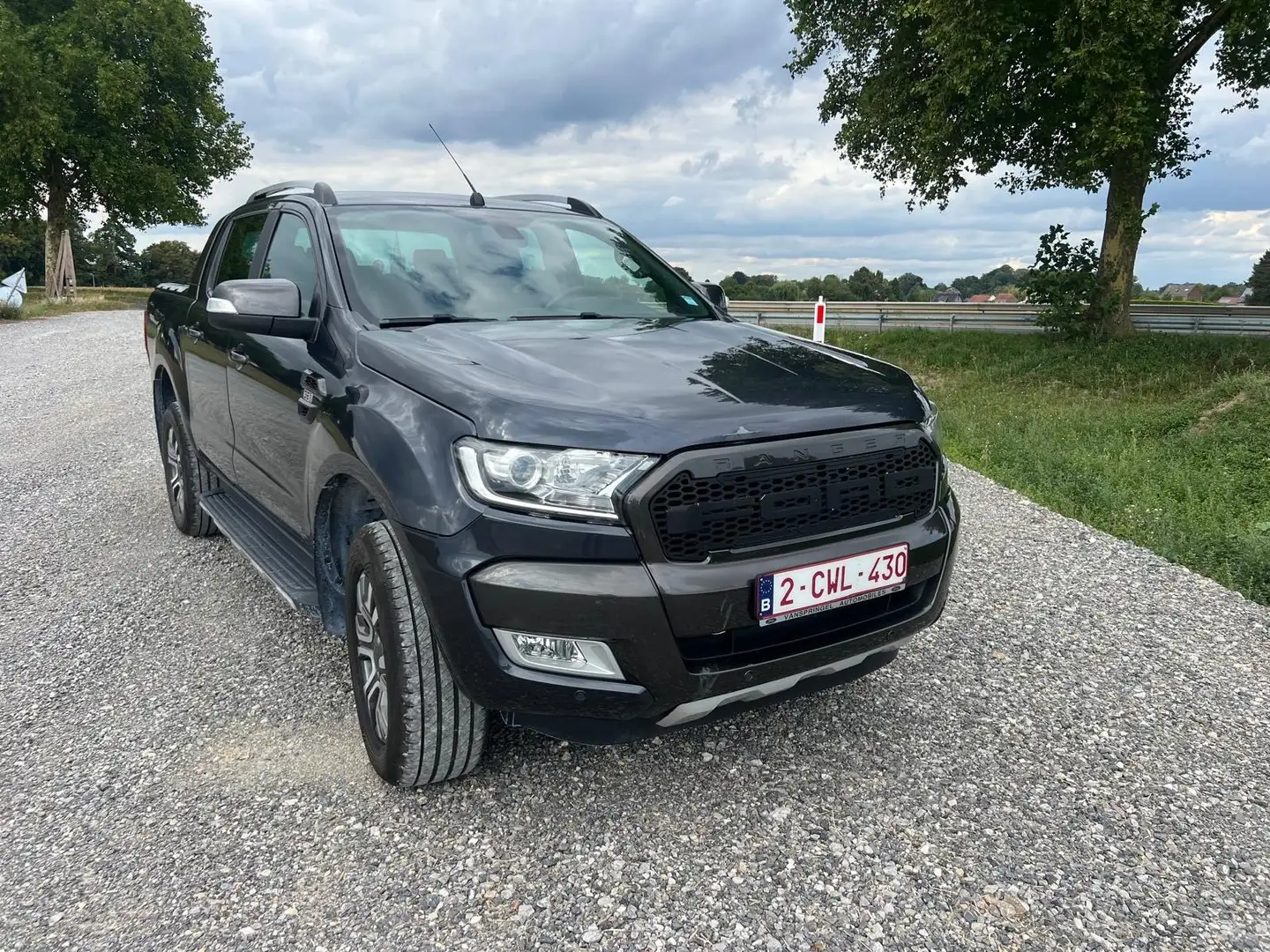 Ford Ranger 3.2 Wildtrak (EU6.2) Gris - 1
