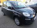 Fiat Panda Panda 1.2 Easy 69cv E6 5 posti Unico Proprietario Noir - thumbnail 2