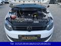 Volkswagen Polo 1,2"Trendline",KLIMA,8 FACH BEREIFT,AHK,ALU Weiß - thumbnail 9