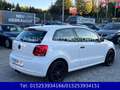Volkswagen Polo 1,2"Trendline",KLIMA,8 FACH BEREIFT,AHK,ALU Weiß - thumbnail 4
