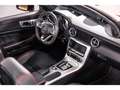 Mercedes-Benz CL 43 AMG Rojo - thumbnail 44