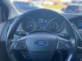 Ford Focus 1.0EB Business Kamera+WinterPak+Tempomat Blu/Azzurro - thumbnail 18