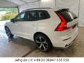 Volvo XC60 T8 Plus Dark Hybrid AWD 21"HeadUp StHz Pano Blanc - thumbnail 9