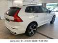 Volvo XC60 T8 Plus Dark Hybrid AWD 21"HeadUp StHz Pano Blanc - thumbnail 6