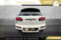 MINI Cooper SD Clubman John Cooper Works// VOLLE HÜTTE//PANO//LEDER// Weiß - thumbnail 11