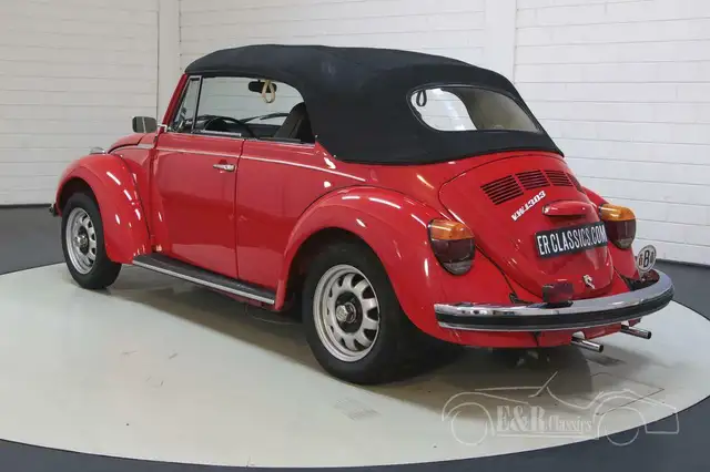 Volkswagen Beetle view 13