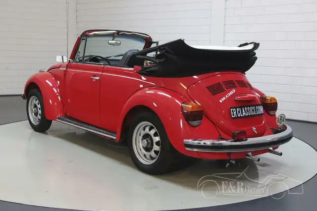 Volkswagen Beetle view 7