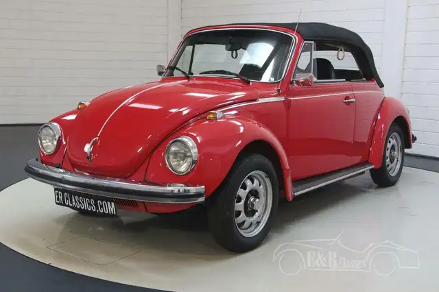 Volkswagen Beetle view 15
