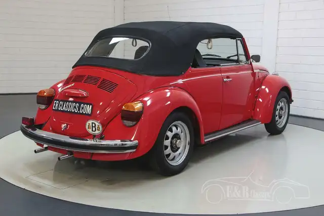 Volkswagen Beetle view 14