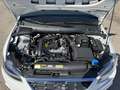SEAT Ibiza 1.0 TSI 115 FR 5p S/S Blanco - thumbnail 2