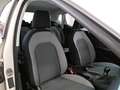 SEAT Ibiza 1.0 TGI 66KW STYLE 5 PORTE - thumbnail 10