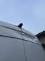 Mercedes-Benz Sprinter 316 CDI 3,5t / 3.665 mm - thumbnail 3