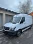 Mercedes-Benz Sprinter 316 CDI 3,5t / 3.665 mm - thumbnail 1