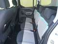 Citroen Berlingo BlueHDI 130 S *AHV* Weiß - thumbnail 11