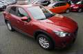 Mazda CX-5 Center-Line 2WD Automatik/Navi/AHK/SR+WR Rot - thumbnail 12