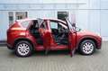Mazda CX-5 Center-Line 2WD Automatik/Navi/AHK/SR+WR Rot - thumbnail 8