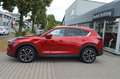 Mazda CX-5 AWD 150PS 6AG Ad'vantage Navi PDC SHZ Rot - thumbnail 4