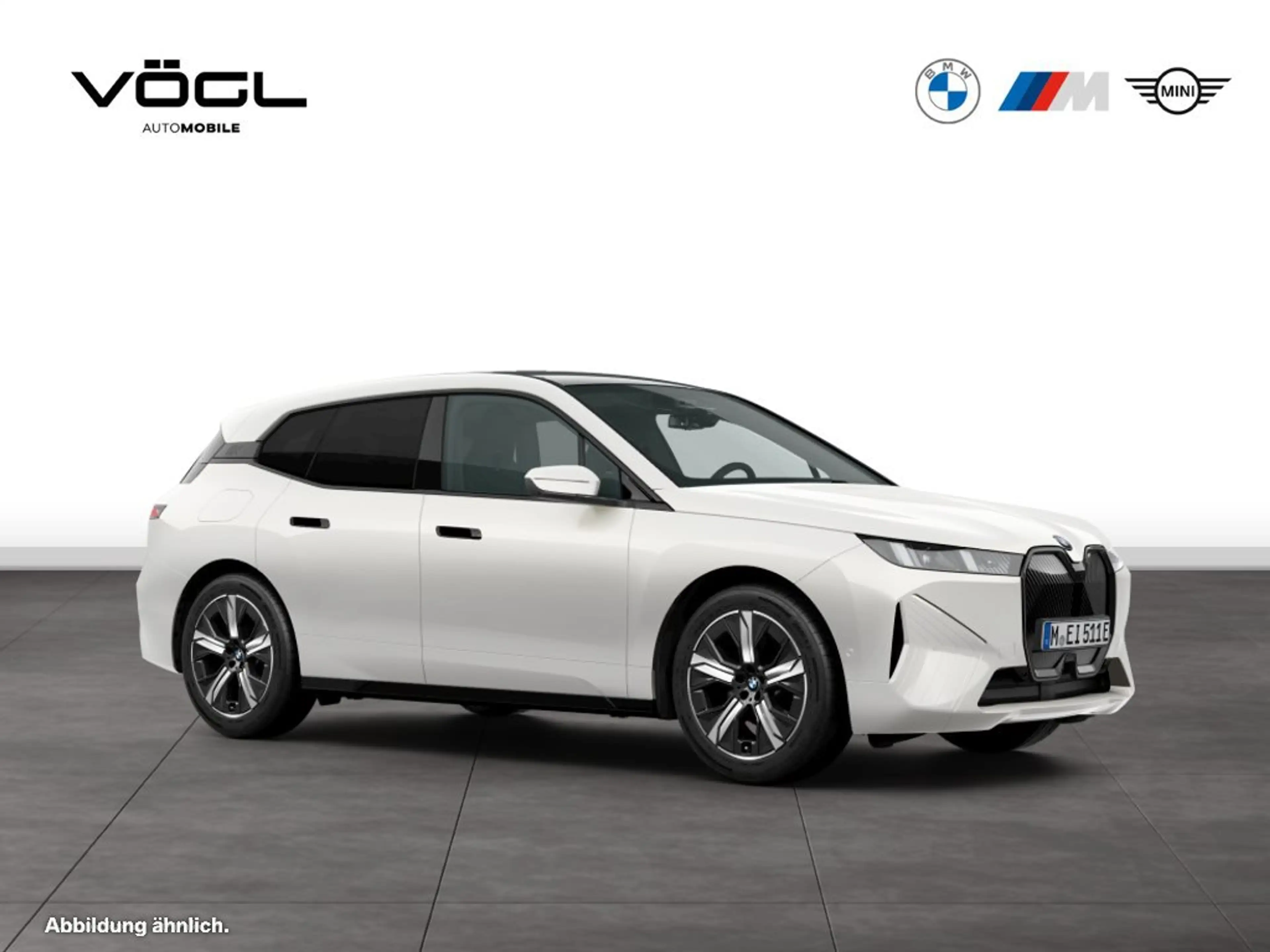 BMW iX xDrive45 HK HiFi DAB LED Pano.Dach Shz — photo 9