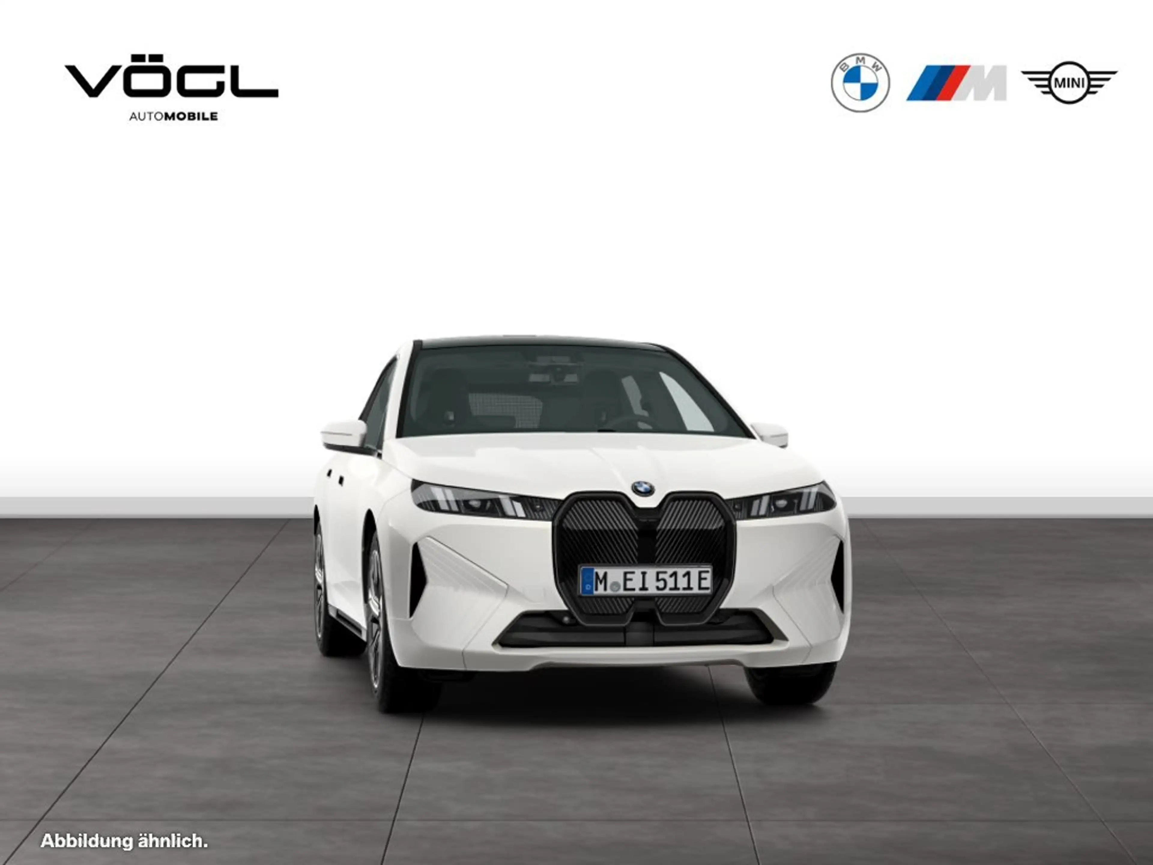 BMW iX xDrive45 HK HiFi DAB LED Pano.Dach Shz — photo 10