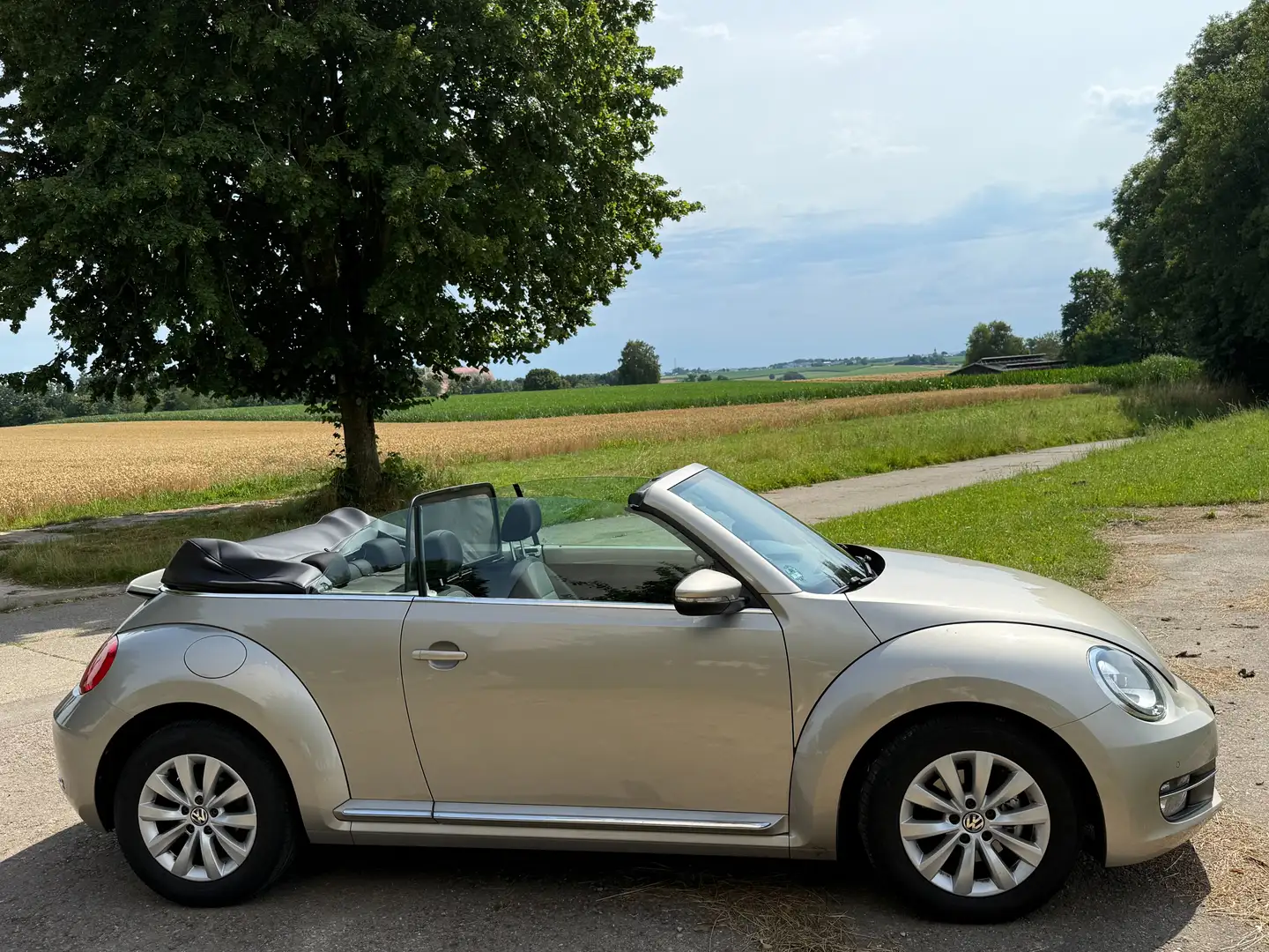 Volkswagen Beetle The Beetle Cabriolet 1.6 TDI DSG Design Argent - 1