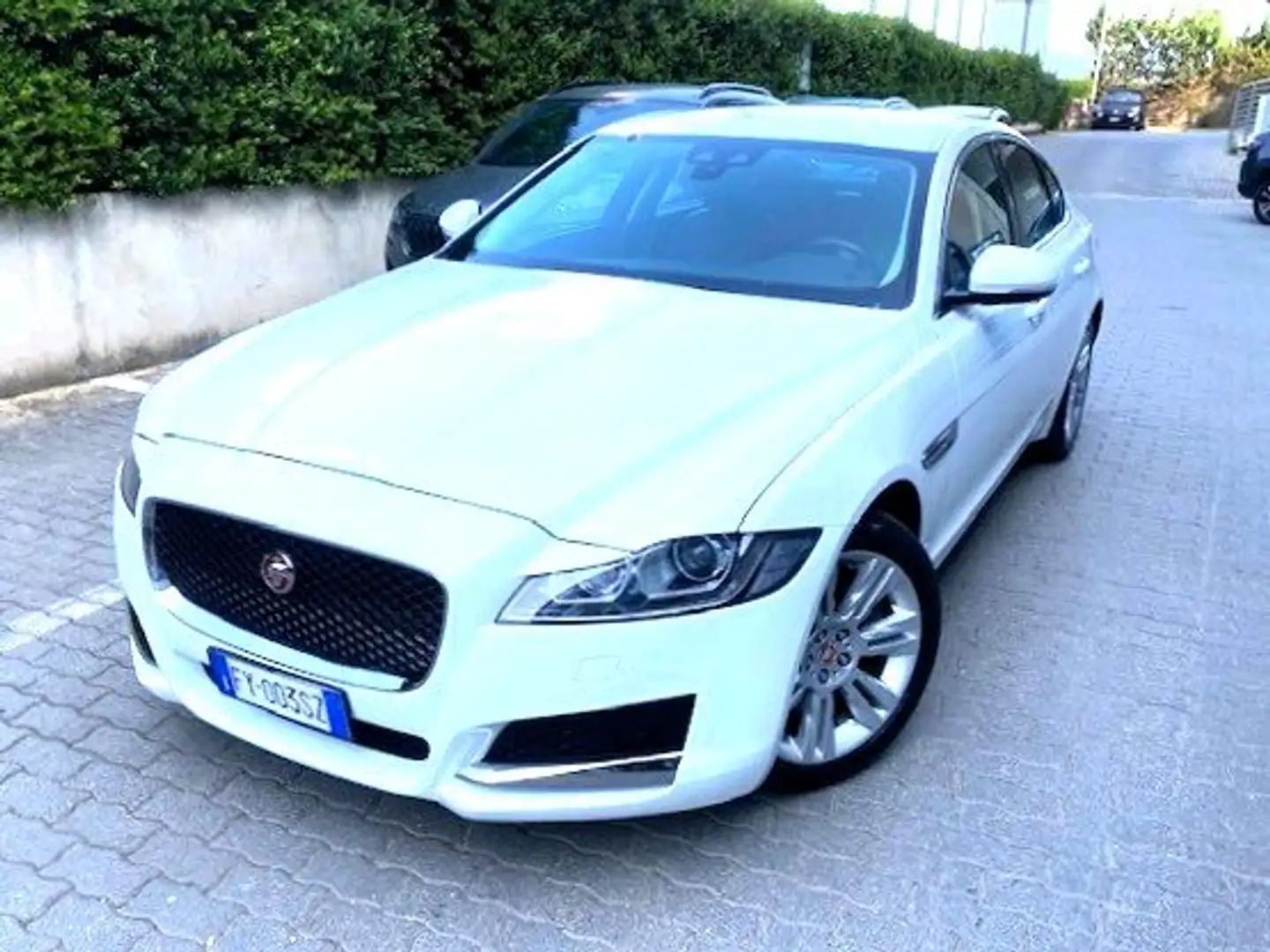 Jaguar XF XF II Berlina 2.0d i4 Prestige 180cv Auto- FY003SZ Bianco - 2