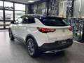 Opel Grandland X 1.5 ecotec Automatica Bianco - thumbnail 4