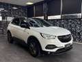 Opel Grandland X 1.5 ecotec Automatica Bianco - thumbnail 1