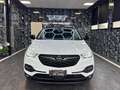 Opel Grandland X 1.5 ecotec Automatica Bianco - thumbnail 2