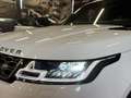 Land Rover Range Rover Sport 3.0 tdV6 HSE Dynamic - thumbnail 4