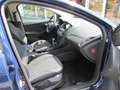 Ford Focus 1.0 EcoBoost Start-Stopp-System Titanium Blu/Azzurro - thumbnail 12