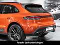 Porsche Macan T Papaya Panoramadach Rückfahrkamera LED Orange - thumbnail 24