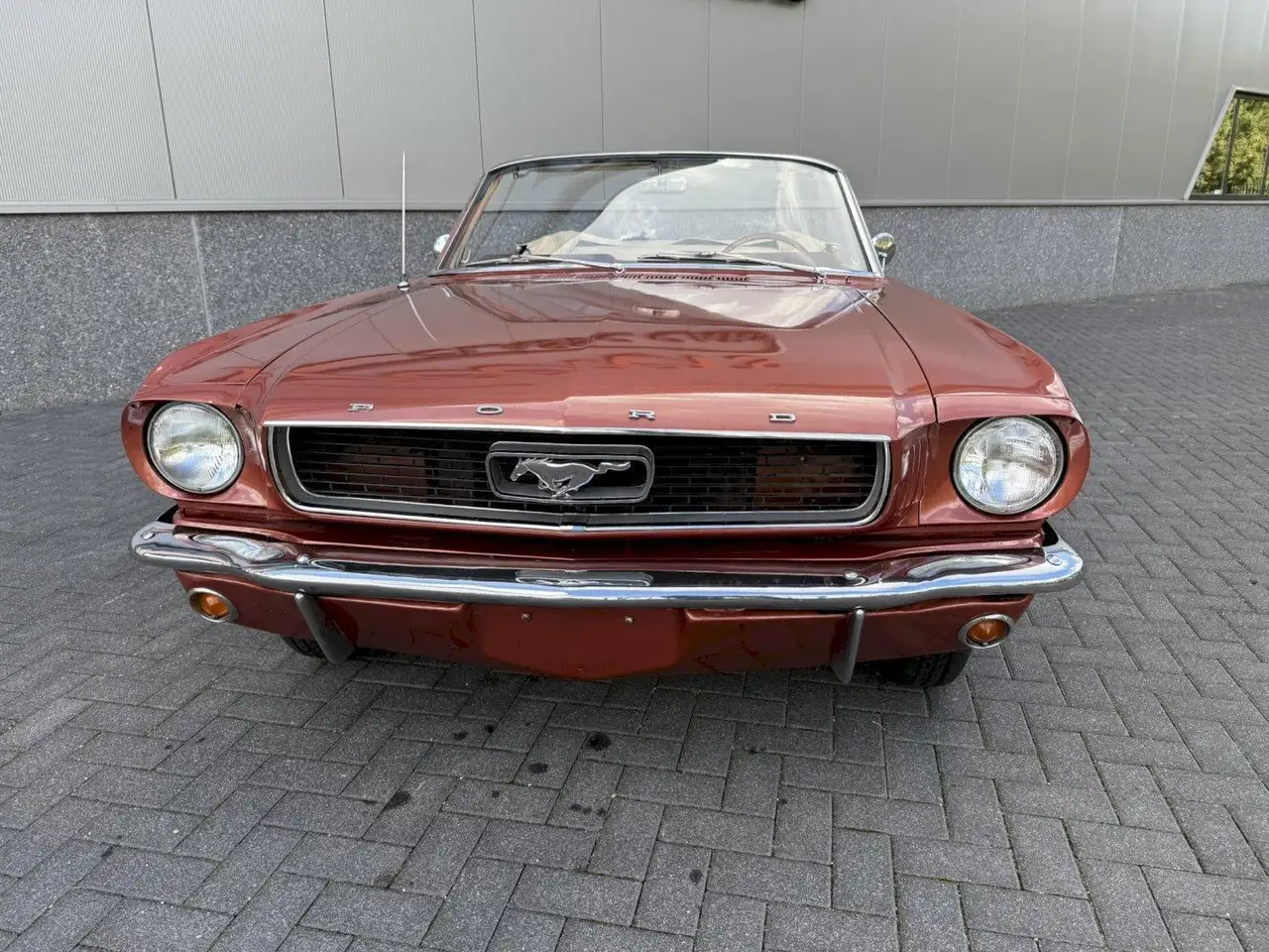 Ford Mustang Convertible, foto 3
