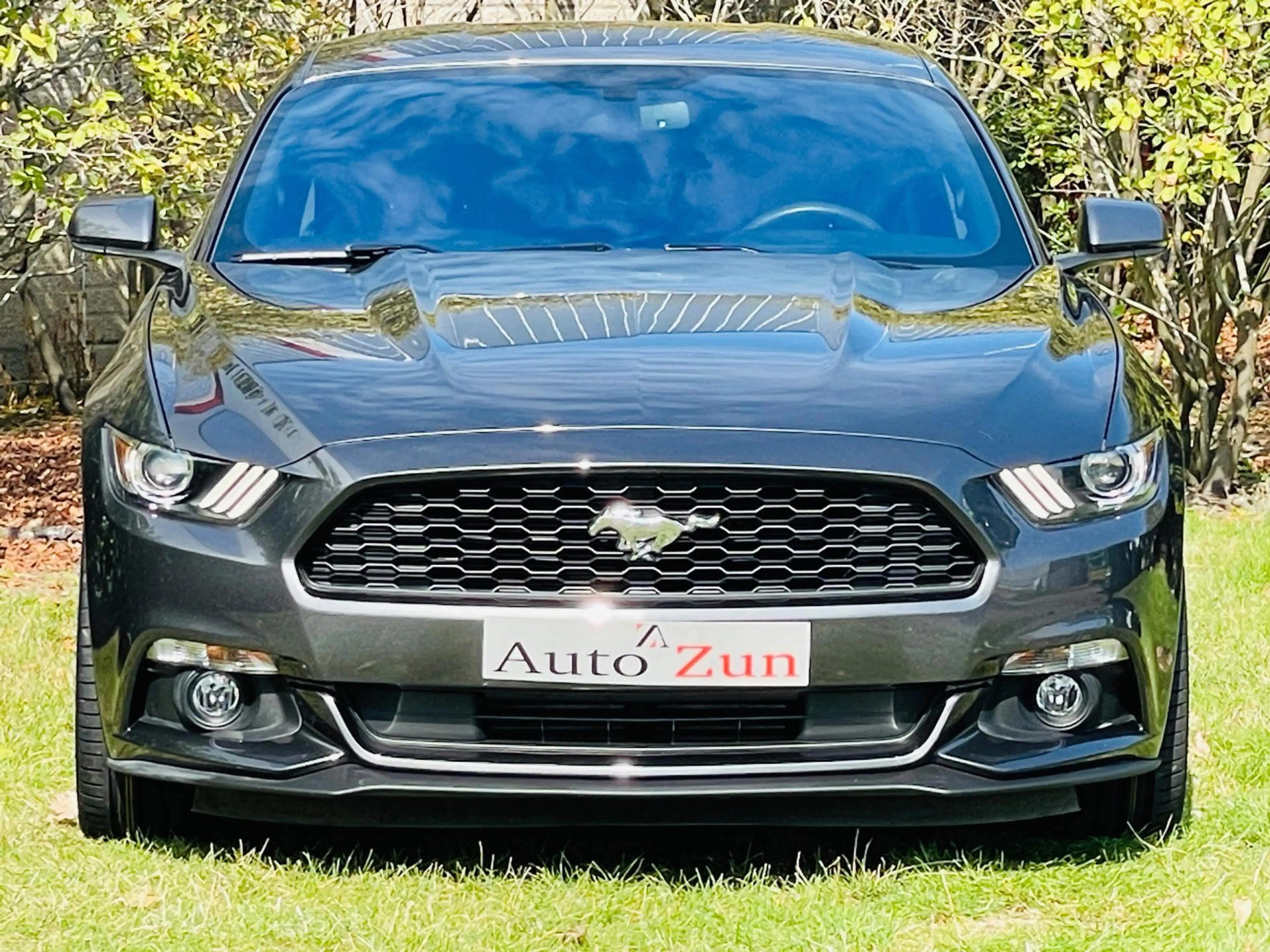 Ford Mustang Fastback 2.3 EcoBoost Premium/Navi/Leer/Automaat — photo 2