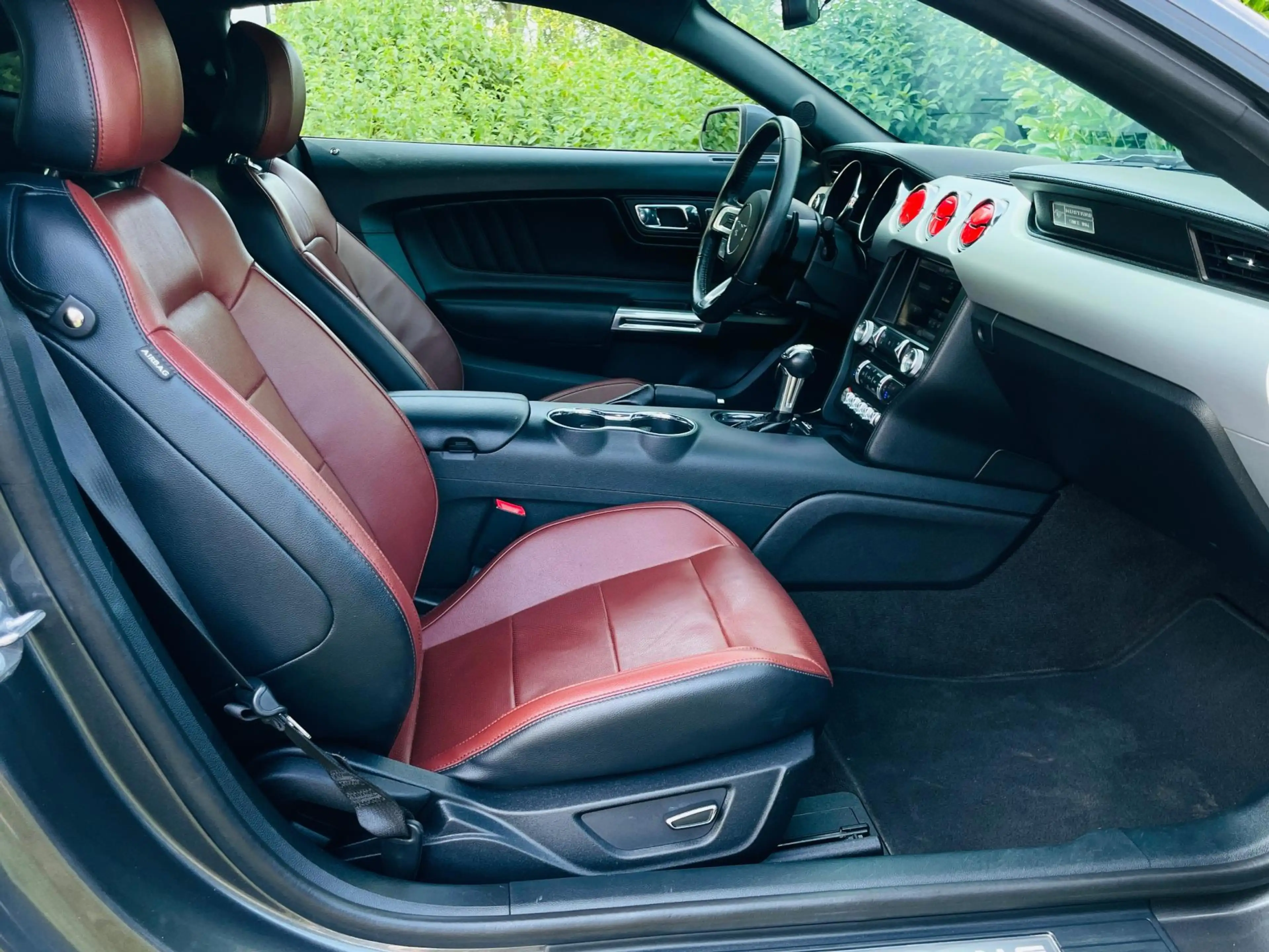Ford Mustang Fastback 2.3 EcoBoost Premium/Navi/Leer/Automaat — photo 12