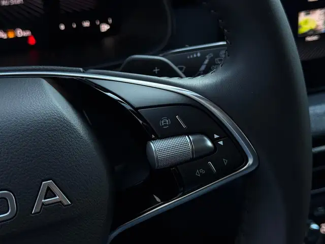 Skoda Kamiq view 11