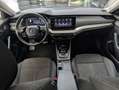 Skoda Octavia Combi Style 1.4 TSI iV Hybrid Kamera ACC Bleu - thumbnail 12