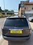 Ford Focus Style Wagon 1.6 Titanium 115cv Grigio - thumbnail 4