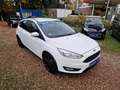 Ford Focus Klima 80Tkm Navi Sitzhzg Tempom Scheckh 2Hnd Blanc - thumbnail 3