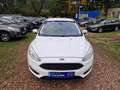 Ford Focus Klima 80Tkm Navi Sitzhzg Tempom Scheckh 2Hnd Blanc - thumbnail 2