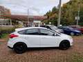 Ford Focus Klima 80Tkm Navi Sitzhzg Tempom Scheckh 2Hnd Blanc - thumbnail 7