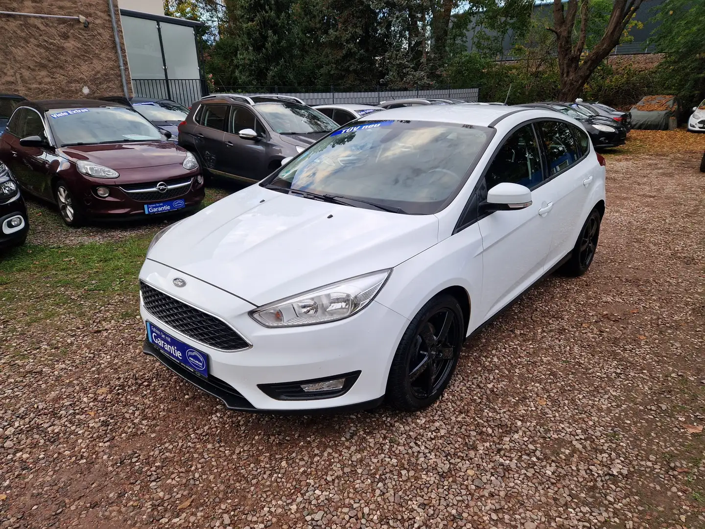 Ford Focus Klima 80Tkm Navi Sitzhzg Tempom Scheckh 2Hnd Blanc - 1