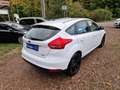Ford Focus Klima 80Tkm Navi Sitzhzg Tempom Scheckh 2Hnd Blanc - thumbnail 4