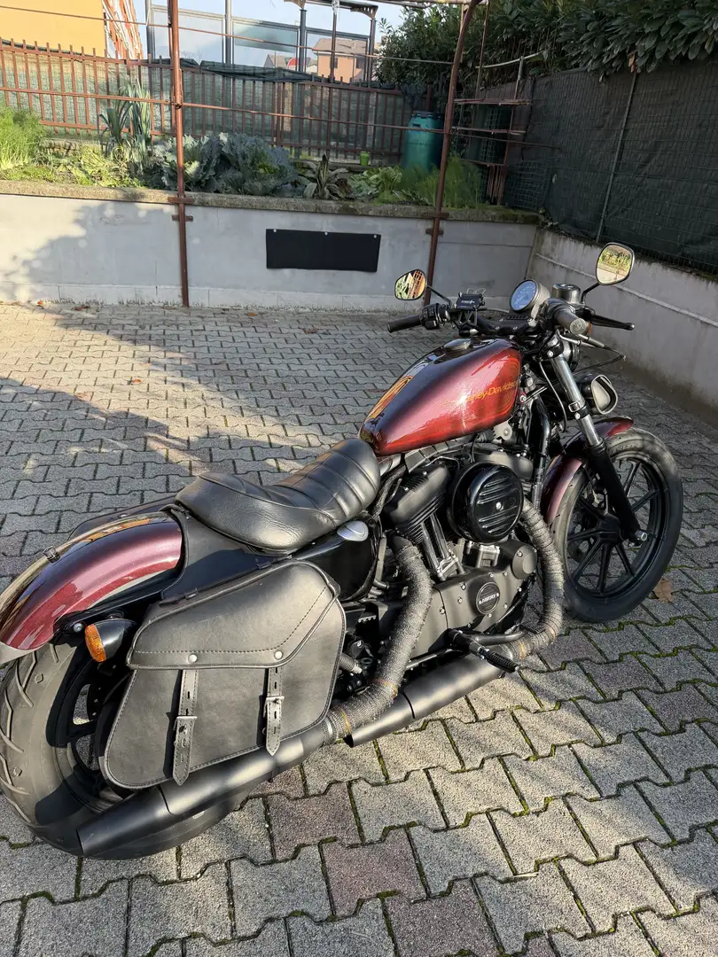 Harley-Davidson Sportster 1200 sportster - 2